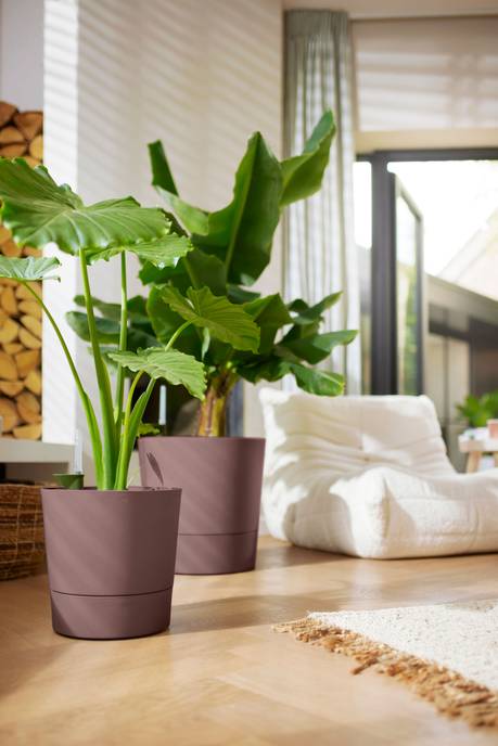 greensense aqua care rond 35cm brun argile